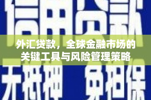 伊宁外汇贷款，全球金融市场的关键工具与风险管理策略