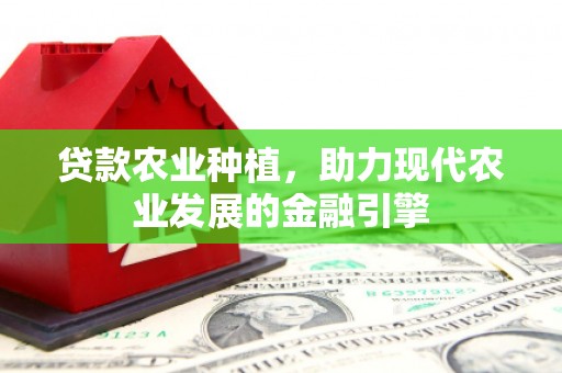 伊宁贷款农业种植，助力现代农业发展的金融引擎