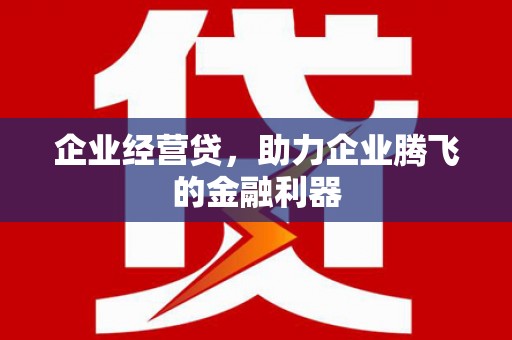伊宁企业经营贷，助力企业腾飞的金融利器