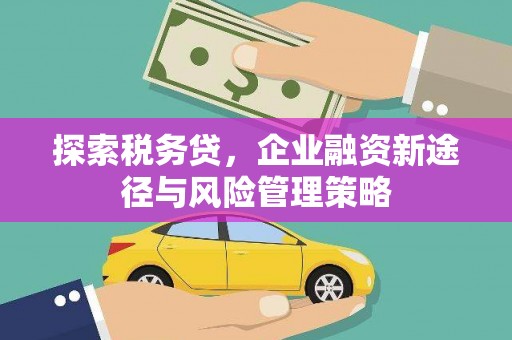 伊宁探索税务贷，企业融资新途径与风险管理策略
