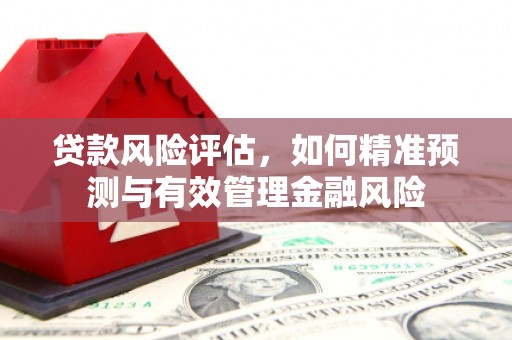 伊宁贷款风险评估，如何精准预测与有效管理金融风险