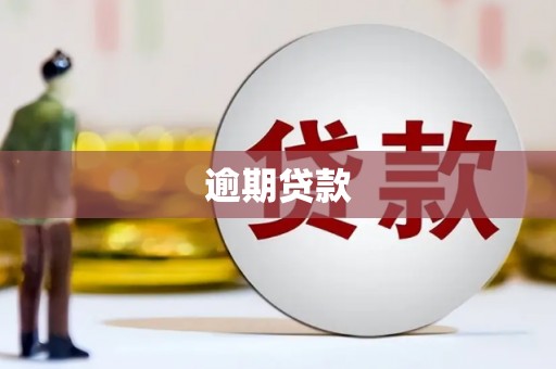 伊宁逾期贷款