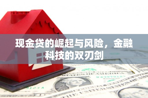 伊宁现金贷的崛起与风险，金融科技的双刃剑