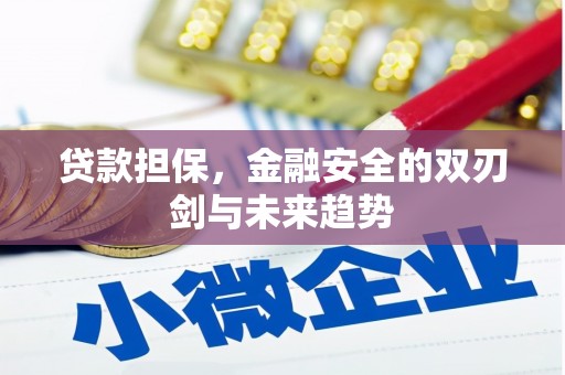 伊宁贷款担保，金融安全的双刃剑与未来趋势