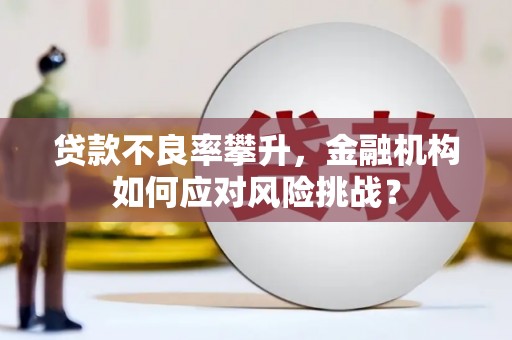 伊宁贷款不良率攀升，金融机构如何应对风险挑战？