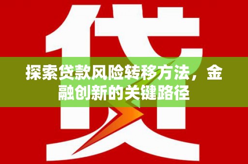 伊宁探索贷款风险转移方法，金融创新的关键路径