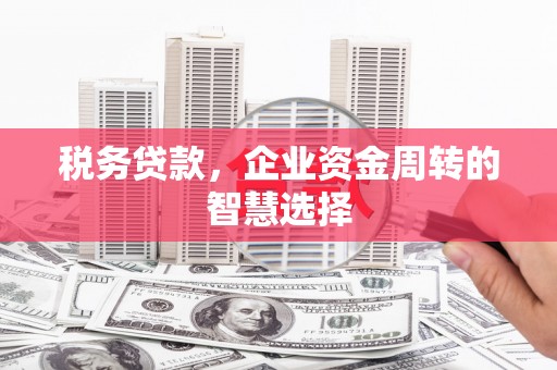 伊宁税务贷款，企业资金周转的智慧选择