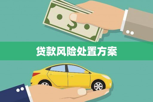 伊宁贷款风险处置方案