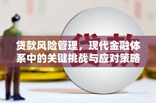 伊宁贷款风险管理，现代金融体系中的关键挑战与应对策略