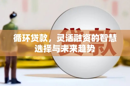 伊宁循环贷款，灵活融资的智慧选择与未来趋势