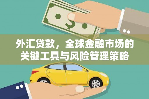 伊宁外汇贷款，全球金融市场的关键工具与风险管理策略