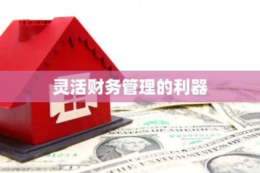 伊宁灵活财务管理的利器