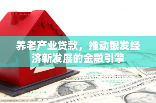 伊宁养老产业贷款，推动银发经济新发展的金融引擎