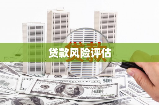 伊宁贷款风险评估