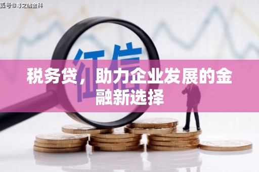 伊宁税务贷，助力企业发展的金融新选择
