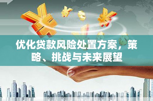 伊宁优化贷款风险处置方案，策略、挑战与未来展望