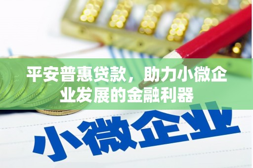 伊宁平安普惠贷款，助力小微企业发展的金融利器