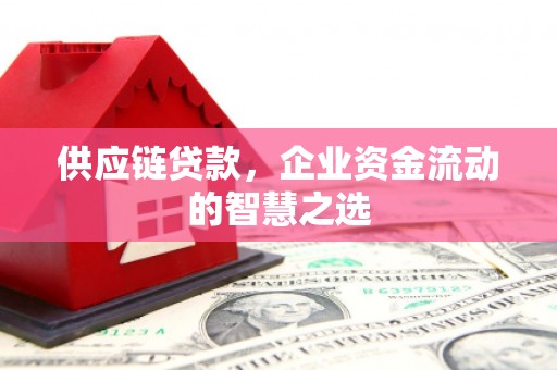 伊宁供应链贷款，企业资金流动的智慧之选