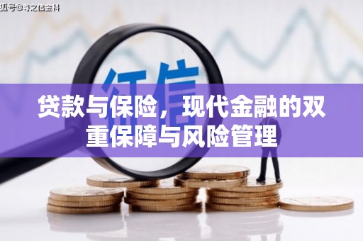 伊宁贷款与保险，现代金融的双重保障与风险管理