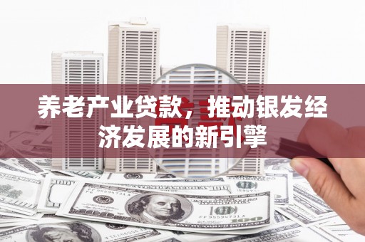 伊宁养老产业贷款，推动银发经济发展的新引擎