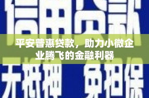 伊宁平安普惠贷款，助力小微企业腾飞的金融利器
