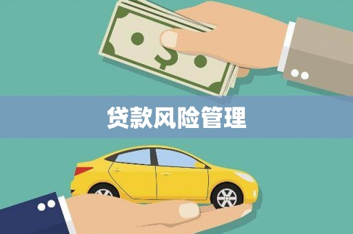 伊宁贷款风险管理