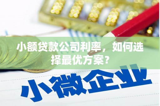 伊宁小额贷款公司利率，如何选择最优方案？