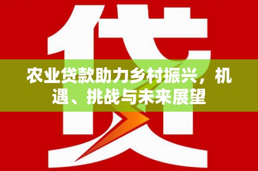 伊宁农业贷款助力乡村振兴，机遇、挑战与未来展望