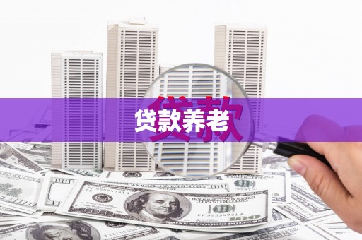 伊宁贷款养老