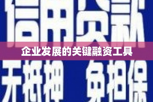 伊宁企业发展的关键融资工具