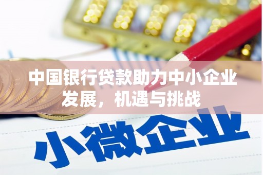 伊宁中国银行贷款助力中小企业发展，机遇与挑战