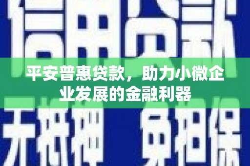 伊宁平安普惠贷款，助力小微企业发展的金融利器