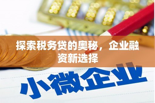 伊宁探索税务贷的奥秘，企业融资新选择