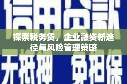 伊宁探索税务贷，企业融资新途径与风险管理策略