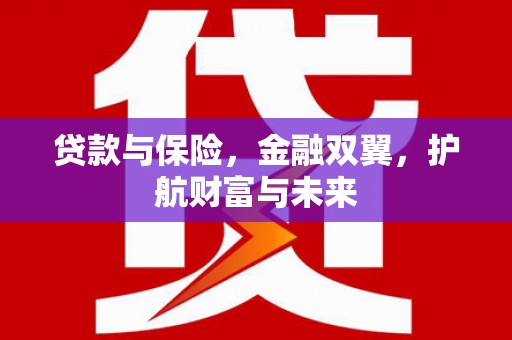 伊宁贷款与保险，金融双翼，护航财富与未来