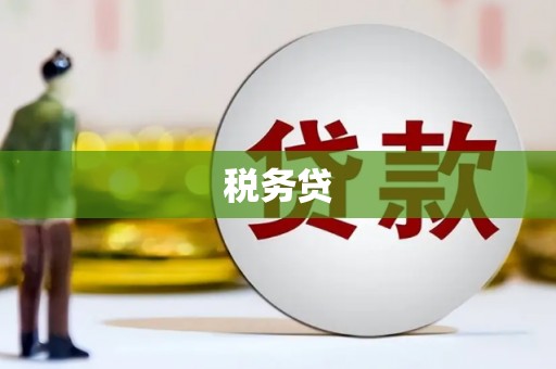 伊宁税务贷