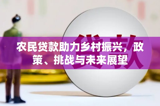 伊宁农民贷款助力乡村振兴，政策、挑战与未来展望