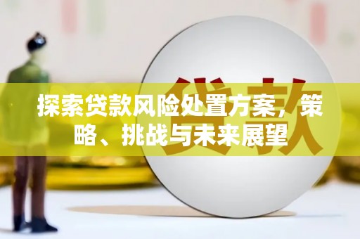 伊宁探索贷款风险处置方案，策略、挑战与未来展望