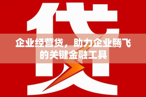 伊宁企业经营贷，助力企业腾飞的关键金融工具