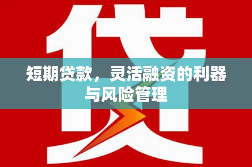 伊宁短期贷款，灵活融资的利器与风险管理