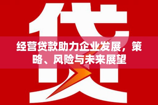 伊宁经营贷款助力企业发展，策略、风险与未来展望