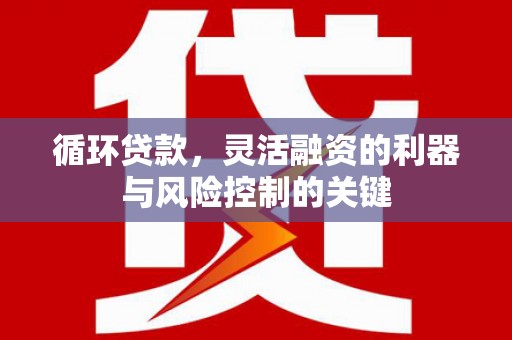 伊宁循环贷款，灵活融资的利器与风险控制的关键