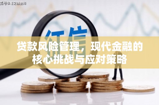 伊宁贷款风险管理，现代金融的核心挑战与应对策略