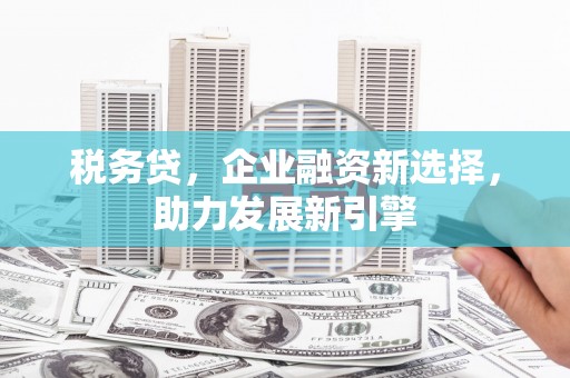 伊宁税务贷，企业融资新选择，助力发展新引擎