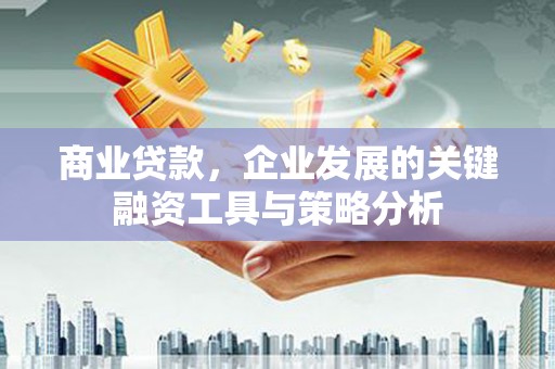 伊宁商业贷款，企业发展的关键融资工具与策略分析