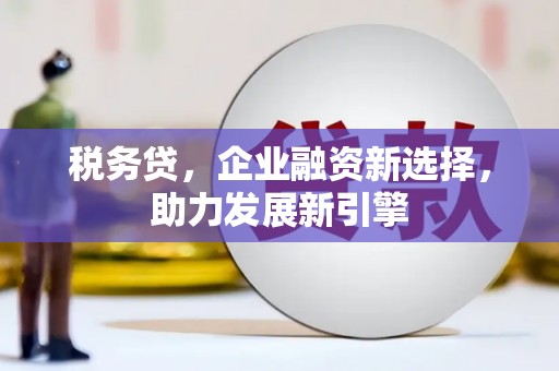 伊宁税务贷，企业融资新选择，助力发展新引擎