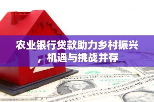 伊宁农业银行贷款助力乡村振兴，机遇与挑战并存