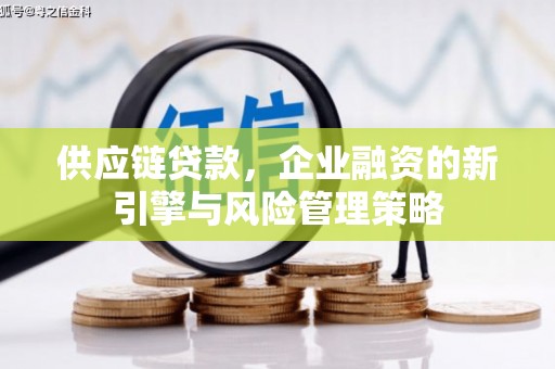 伊宁供应链贷款，企业融资的新引擎与风险管理策略