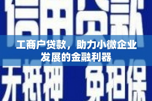 伊宁工商户贷款，助力小微企业发展的金融利器