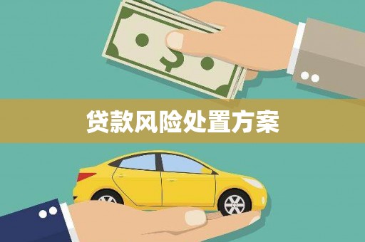 伊宁贷款风险处置方案
